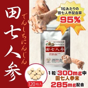 전칠인삼 보조제 120정 입 1정당 전칠인삼 95%함유 영양제 일본 일본직송 서플리먼트